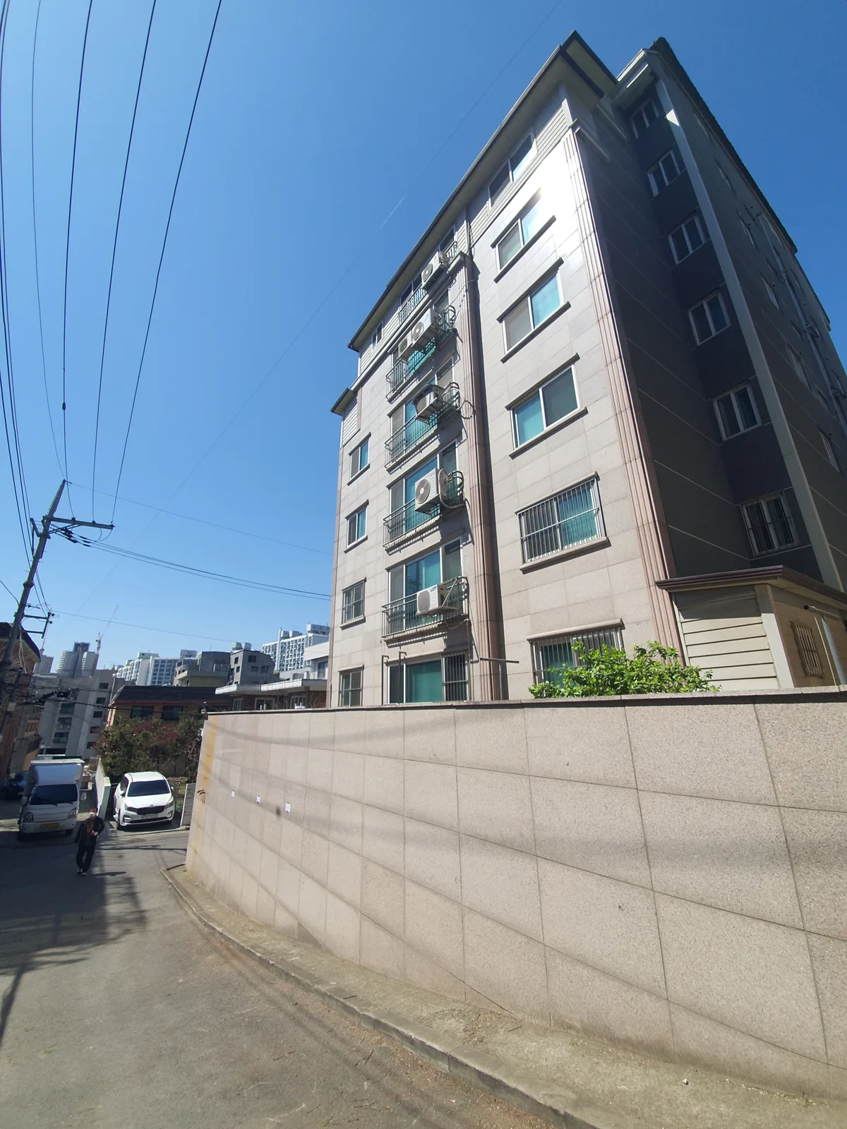 고양 가지치기 시공 사례