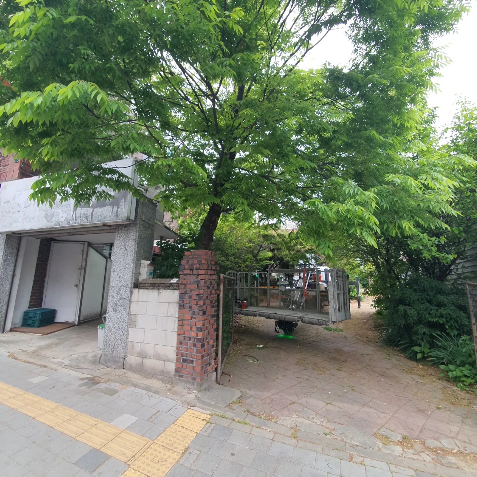 수원 가지치기 시공 사례