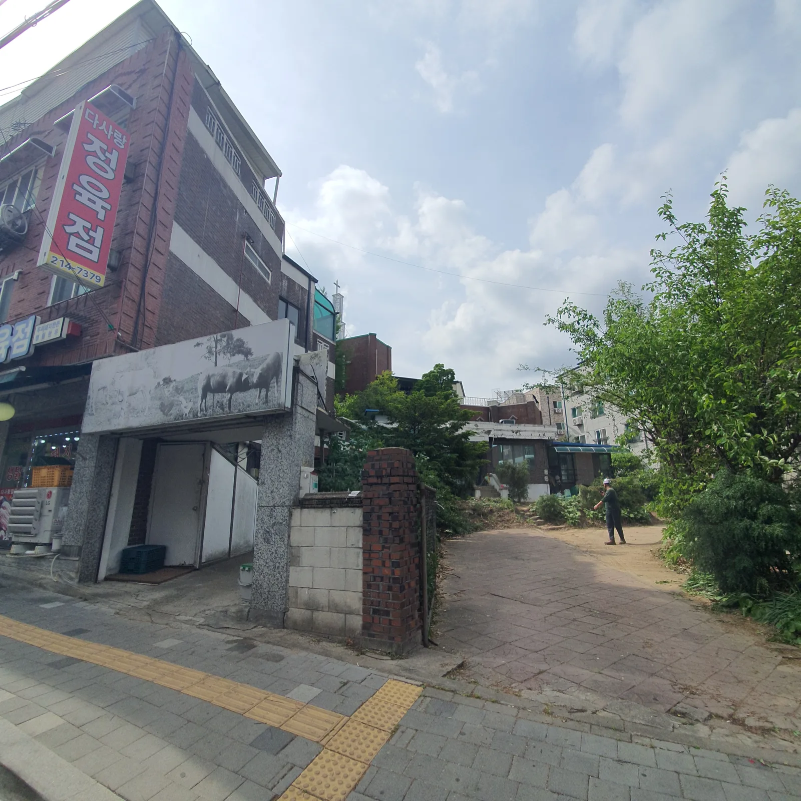 성남 가지치기 시공 사례