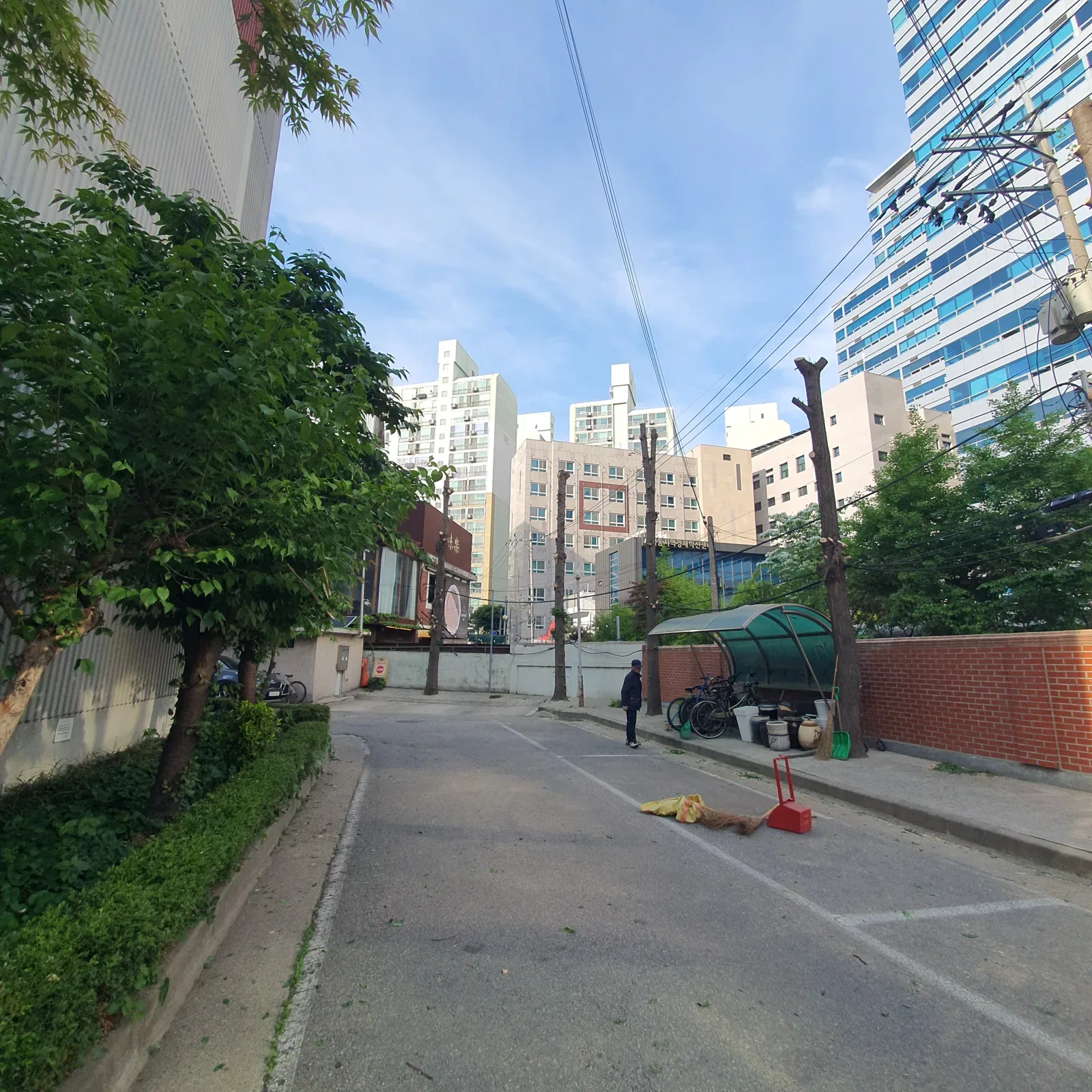 인천 가지치기 시공 사례