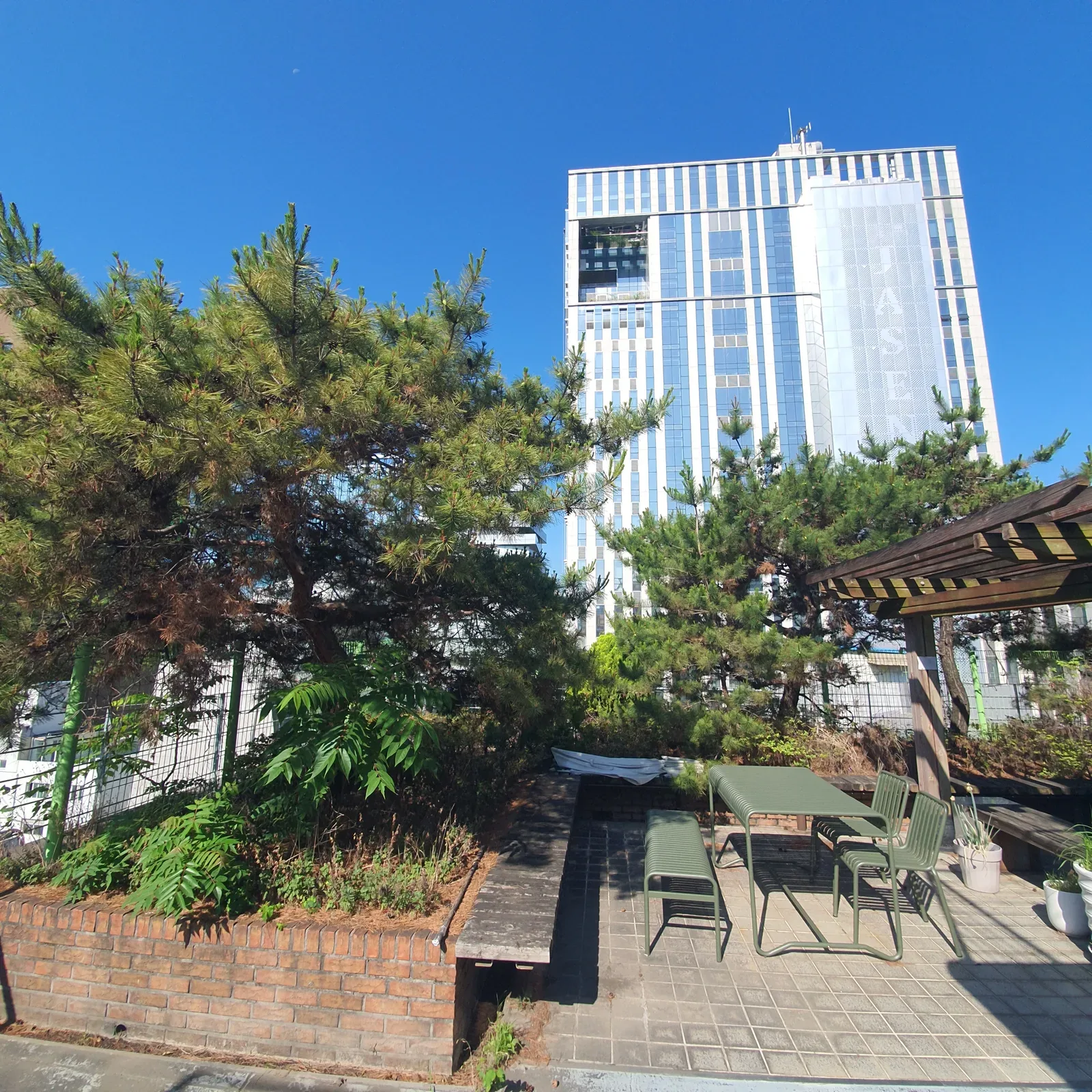으뜸종합건설 가지치기 시공 전 현장 1