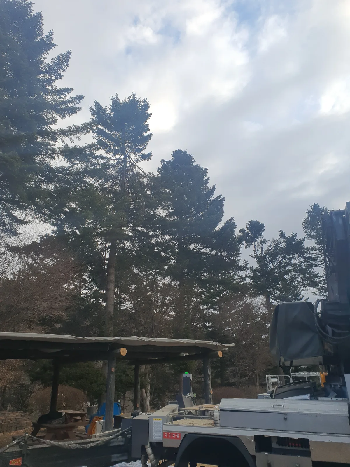 으뜸종합건설 가지치기 시공 전 현장 5