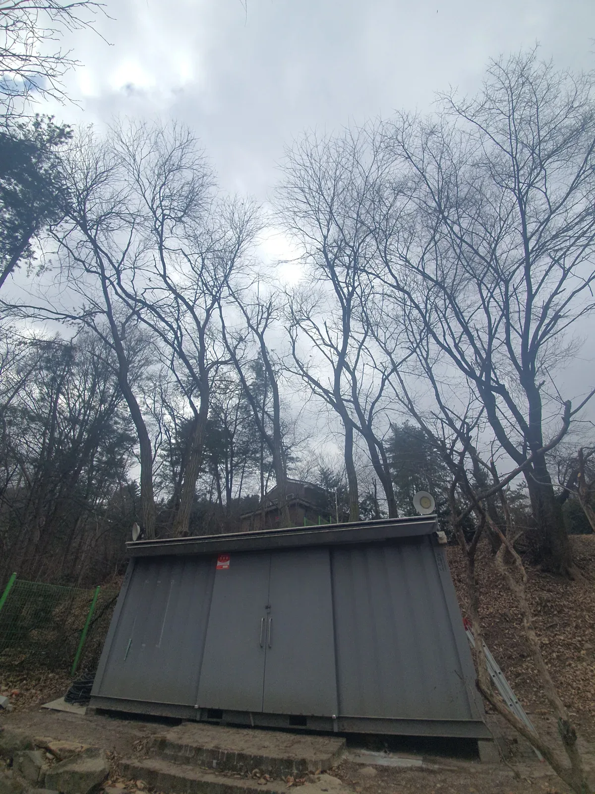 으뜸종합건설 가지치기 시공 전 현장 4