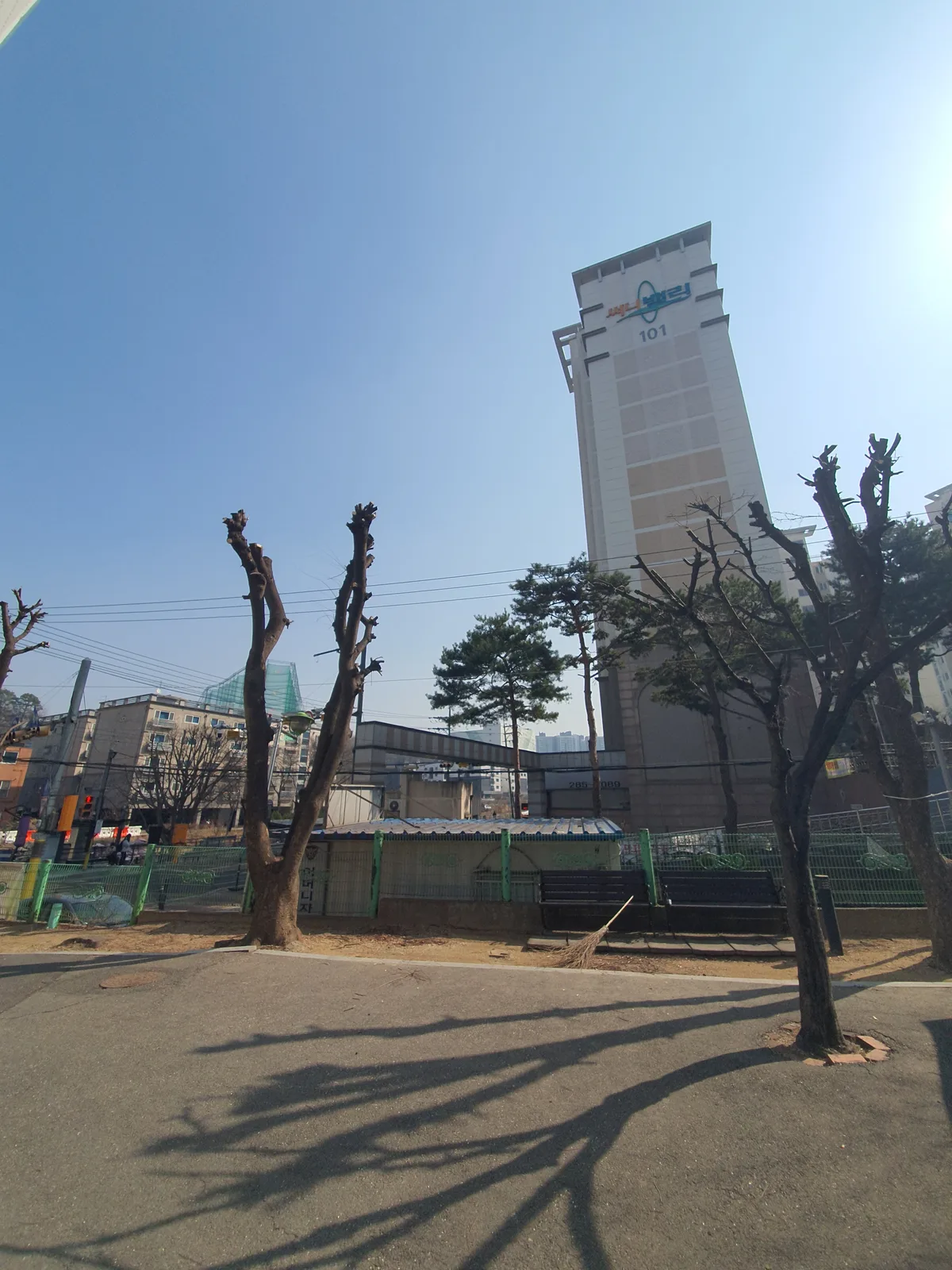 으뜸종합건설 가지치기 작업 완료 후 3