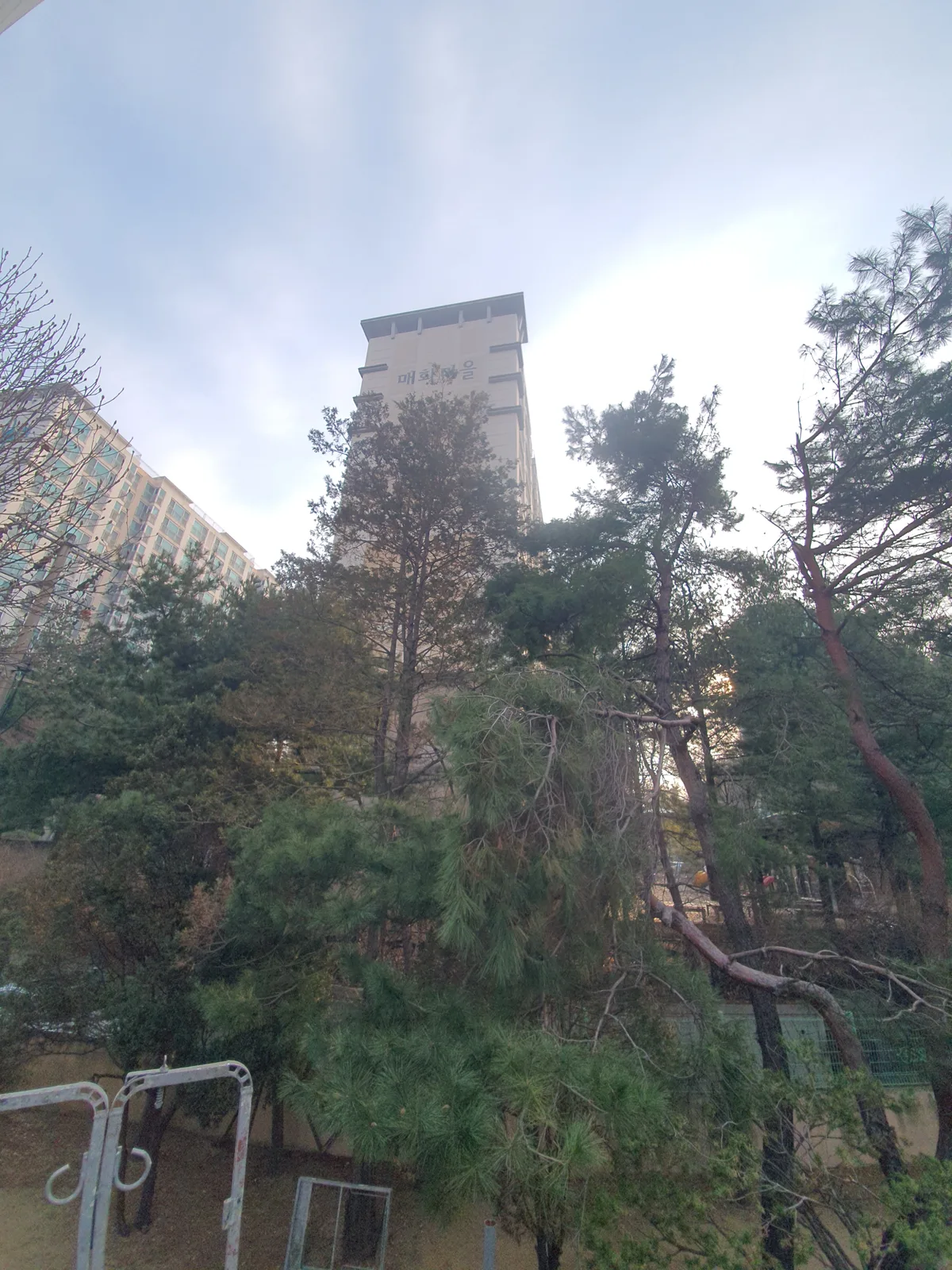 으뜸종합건설 가지치기 시공 전 현장 2